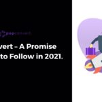 popconvert - a promise startup to follow in 2021